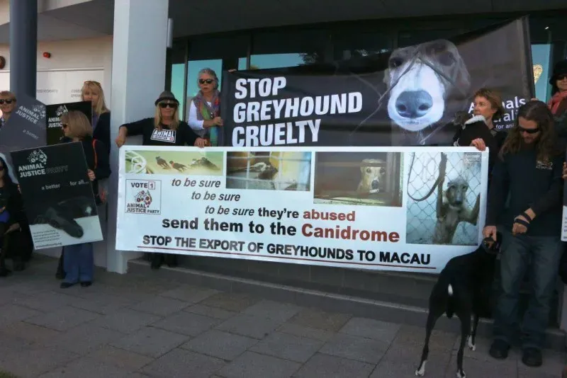 13340068 1123913157695041 1110338753478040926 o