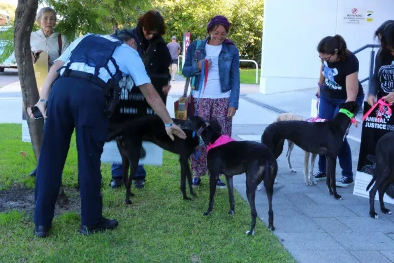 13340157 1123913084361715 1739530327827309668 o