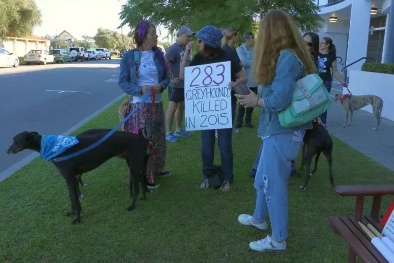 13340157 1123913454361678 3436594948642988816 o