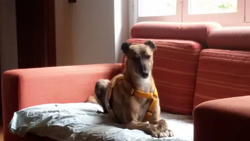 13340207 10208567044246974 8499953080633735042 o