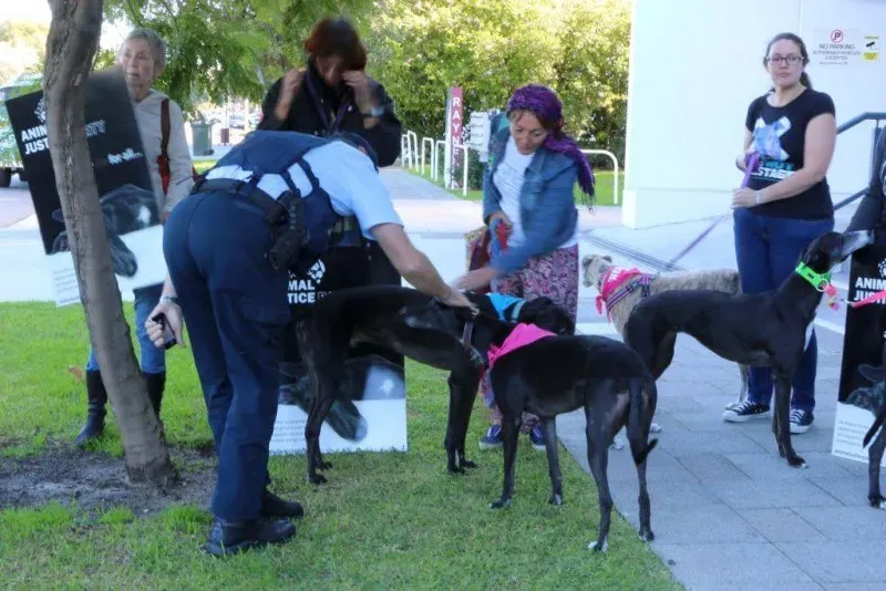 13340217 1123913111028379 3030938384216349558 o