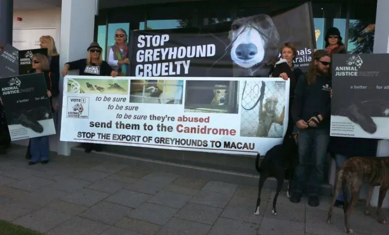 13340217 1123913194361704 7281435463336884821 o