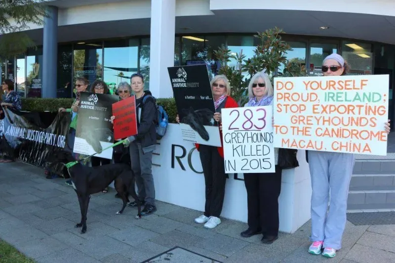 13340231 1123912937695063 8271422077855090374 o