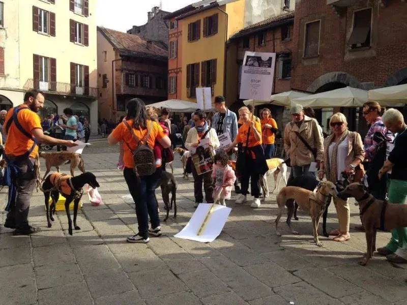 13340278 1038711699546018 6381533078262923472 o