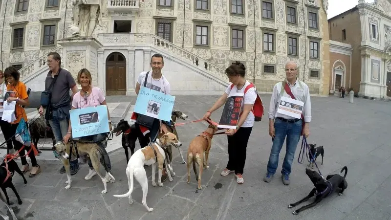 13340291 1040696936014161 5507878033814700856 o