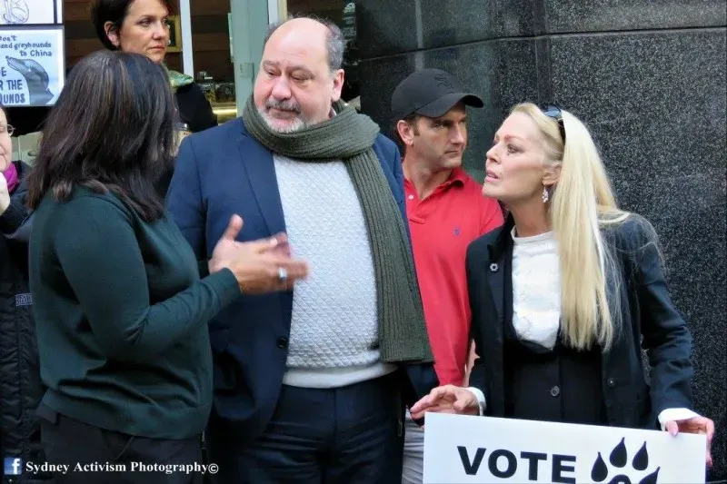 13340293 1781624042124028 8992180873174372909 o