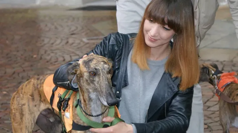 13340331 1038476832902838 7925199668338302987 o 1