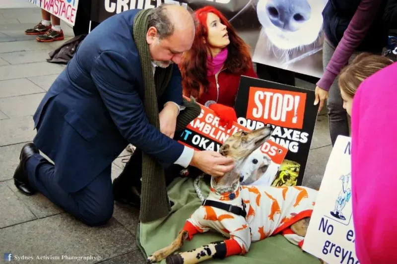 13342914 1781624605457305 2986416811045202626 n