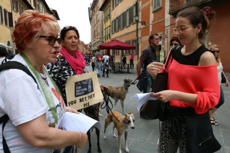 13342967 1040694189347769 3406110833664481173 n