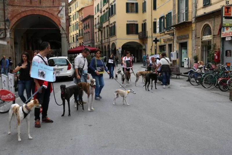 13342987 1040698642680657 410903288110669617 n