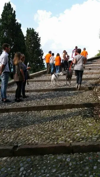 13343026 1040353392715182 4627268214478651925 n