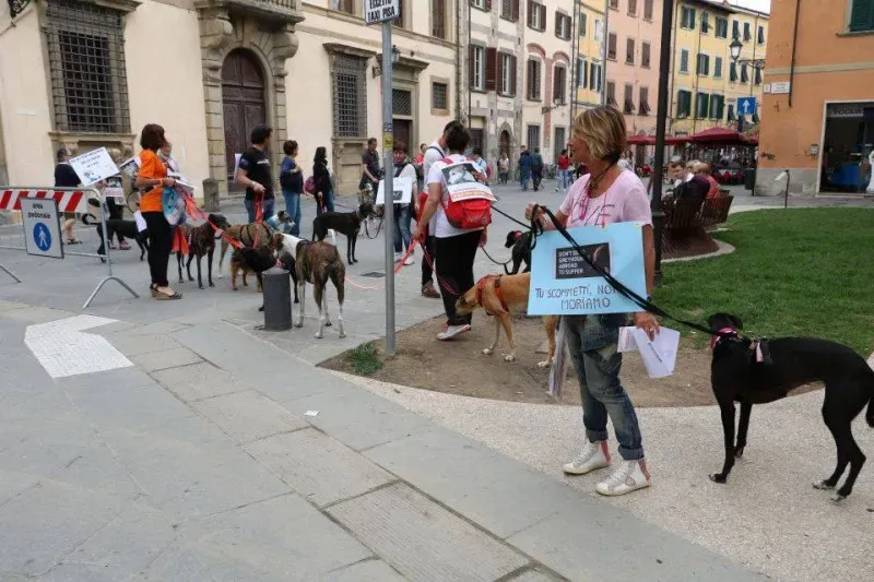 13343028 1040694552681066 3152116749865468896 n