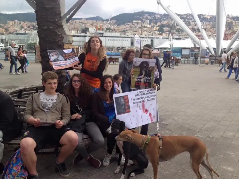 13343060 1038860249531163 664104313975692798 n 1