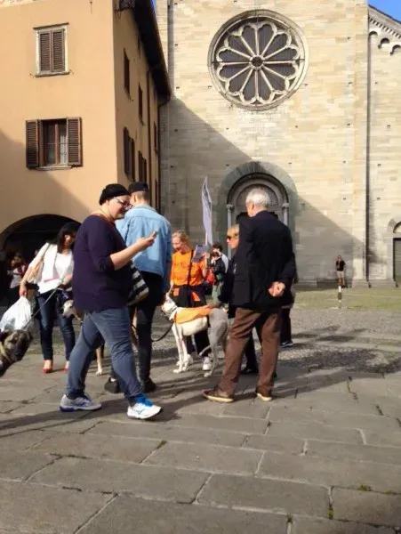 13343099 1038713869545801 6789512412988144619 n