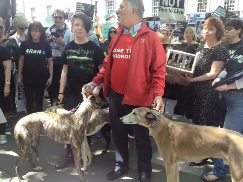 13343112 1038288246255030 4872029731585561406 n 1