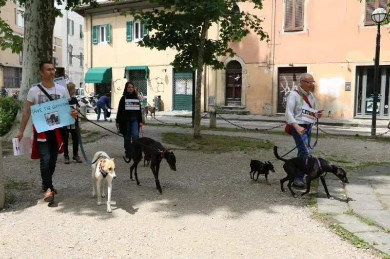 13343152 1040699262680595 8965324488544730905 n