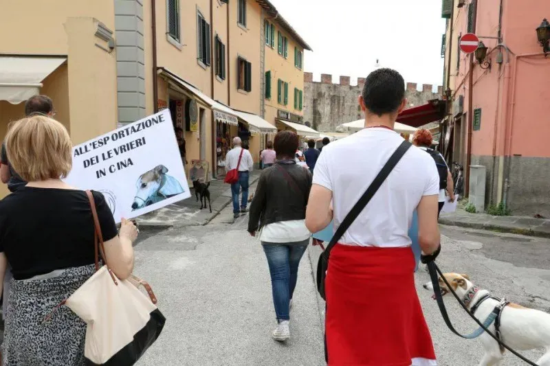 13344493 1040683919348796 5606011321612170372 n