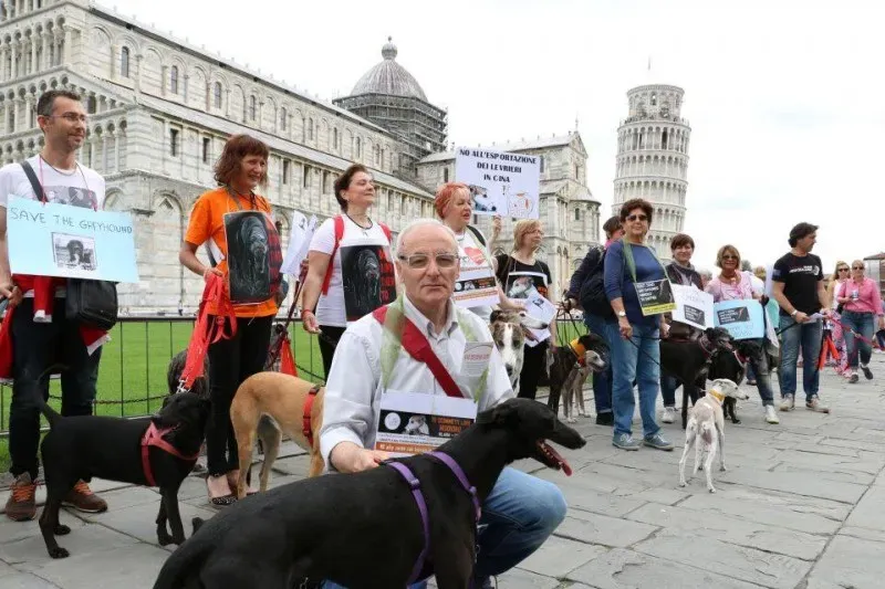 13344541 1040682999348888 1736104572695698228 n