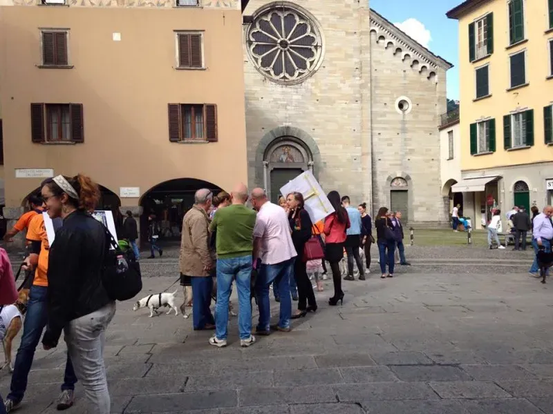 13344562 1038713696212485 7121752533453974088 n