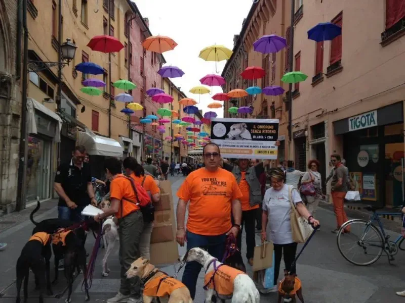 13344566 1038850386198816 5973505659635011460 n 1