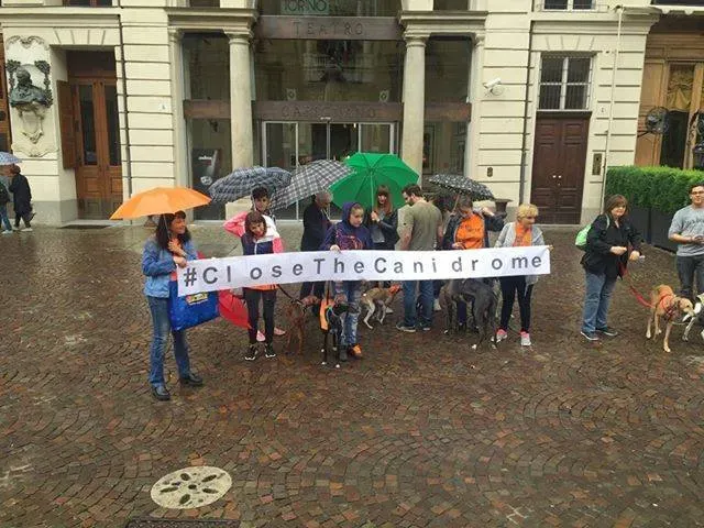 13344567 1038709399546248 2728462402480933562 n 1