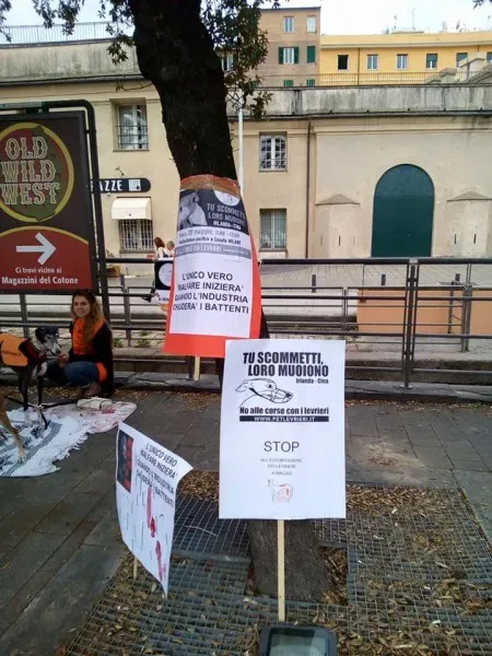 13344686 1038860349531153 4500345642896109362 n 1