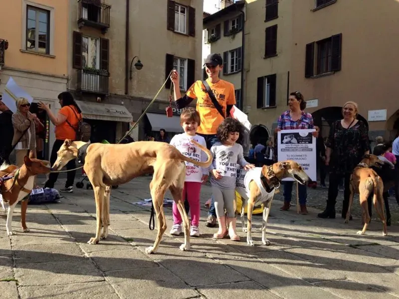 13344727 1038713952879126 968522489542067863 n