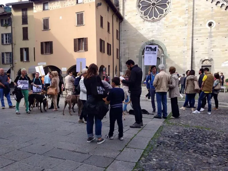 13344746 1038713706212484 1262891409716676926 n