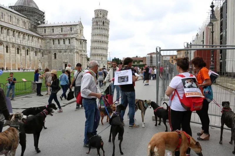 13344748 1040685149348673 8564838589678050980 n