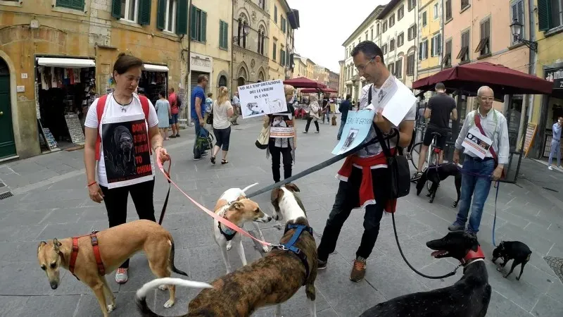 13346166 1040691986014656 7920117007149164209 o