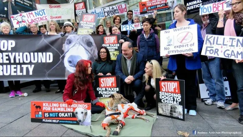 13346221 1781622672124165 2408331725701487330 o