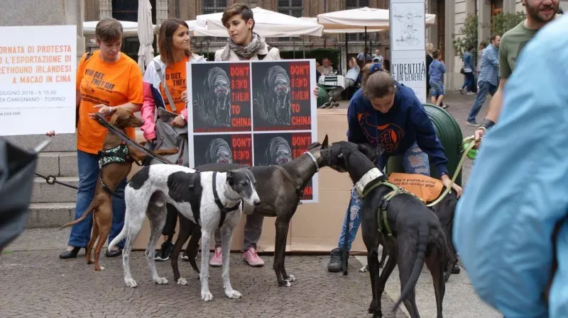 13346232 1038476686236186 2446320864217018225 o 1