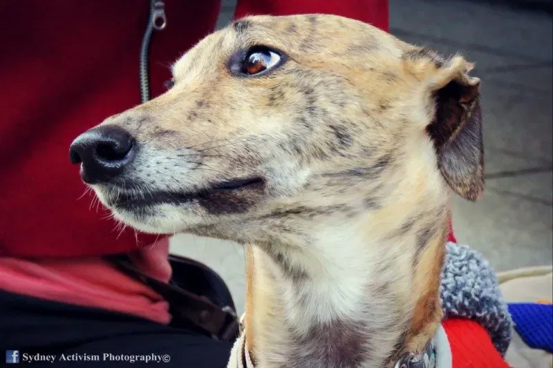 13346349 1781624312124001 8100819492769186537 o