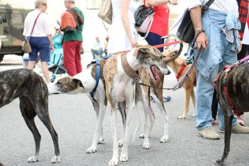 13346429 1040699716013883 5319871774863921027 n