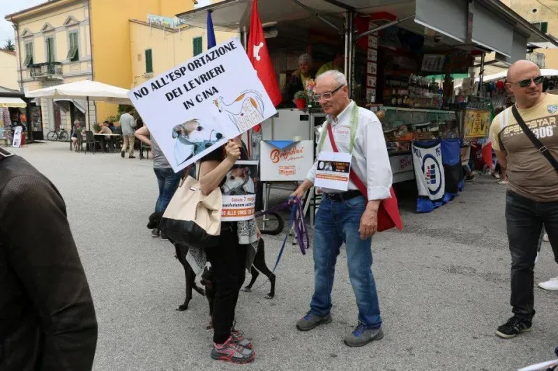 13346433 1040684539348734 8485713597298539639 n