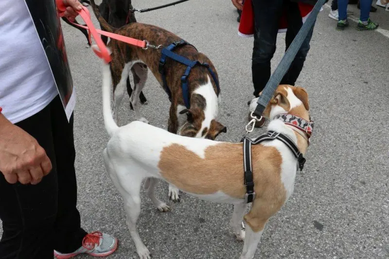 13346461 1040684542682067 5345803490789827599 n