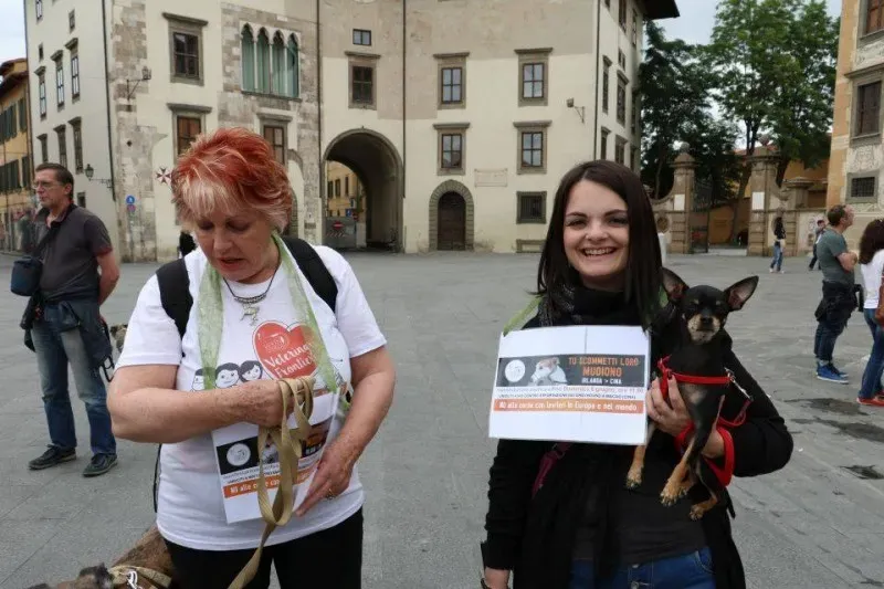 13346463 1040696976014157 8245950064764608014 n