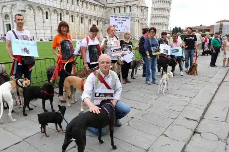 13346464 1040687816015073 2543909187686330176 n