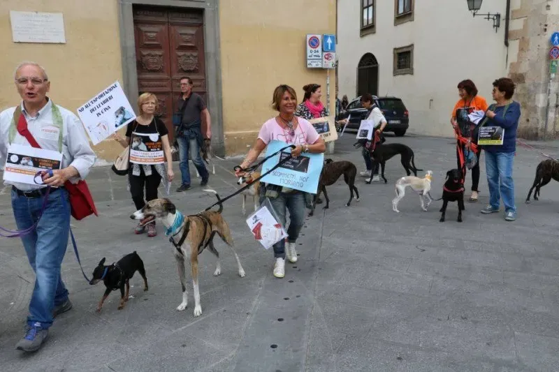 13346467 1040695062681015 9211703892974019113 n