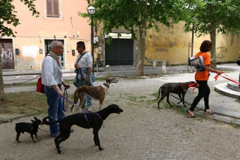 13346480 1040699176013937 8762597374204948423 n