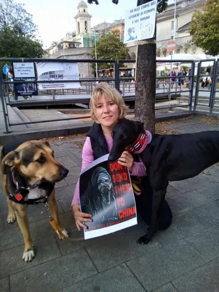 13346487 1038860306197824 7413166632609613799 n 1