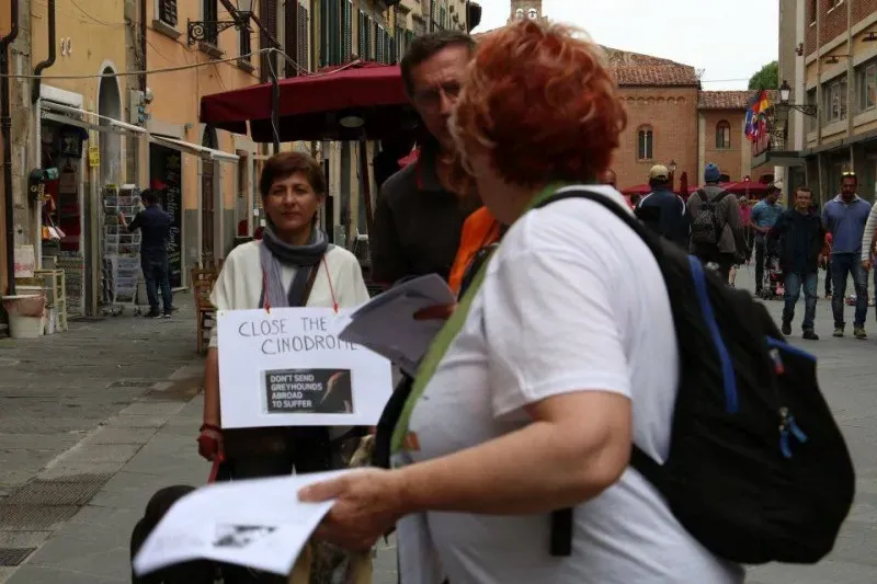 13346547 1040694049347783 3574514205377699531 n