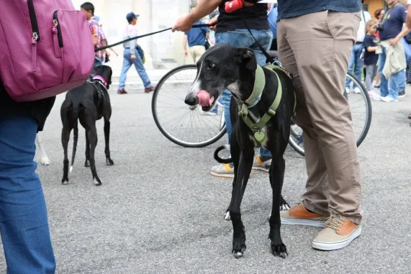 13346556 1040699602680561 6748129243066315318 n