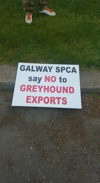 13346557 10208439708203823 456319645414913013 n