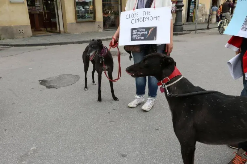 13346562 1040693709347817 3102664599674122535 n