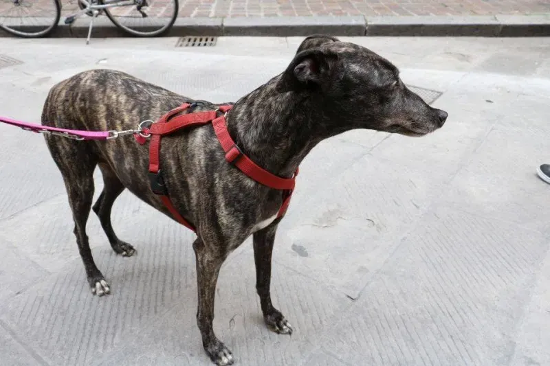 13346569 1040698516014003 7141563616525101648 n