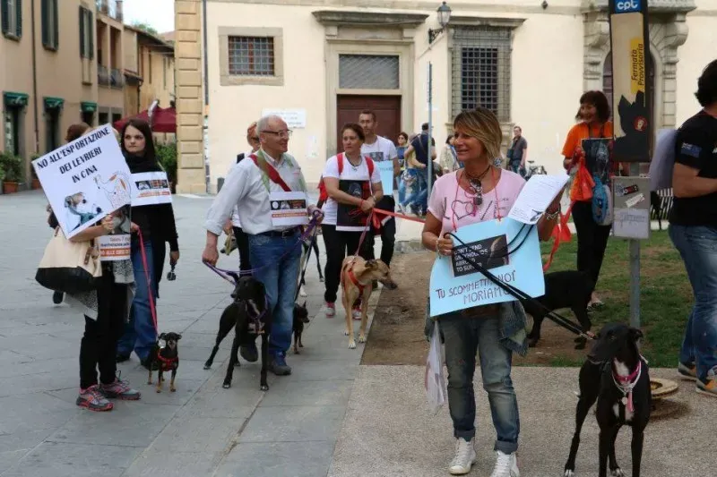 13346578 1040694706014384 5441345492130405189 n