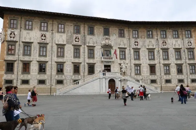 13346605 1040695126014342 3079982038256988054 n