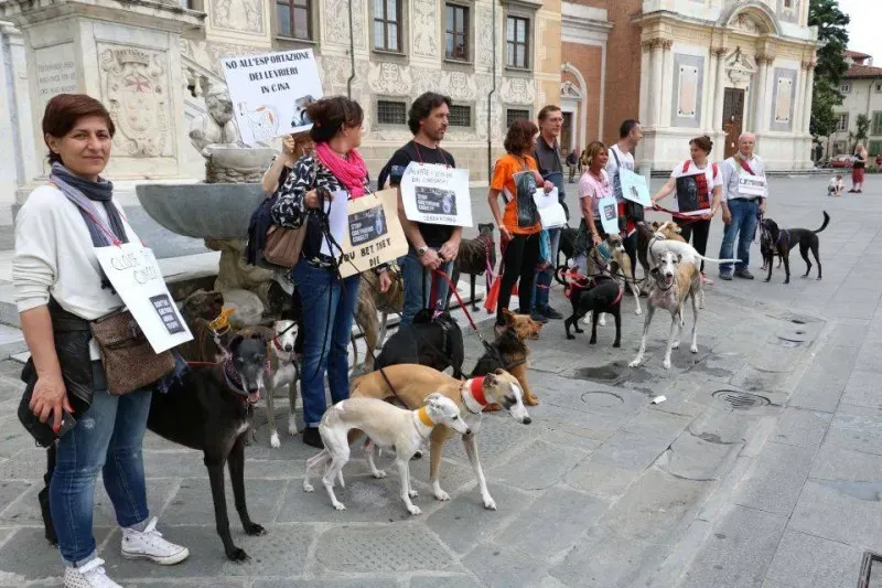 13346641 1040696502680871 2829466465355179700 n