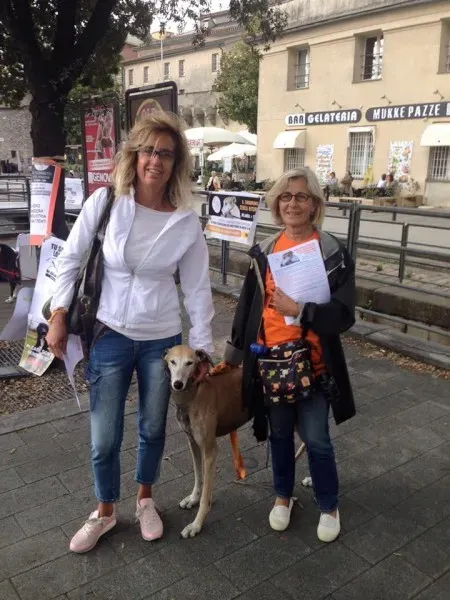 13346649 1038860122864509 3395784163191609000 n 1